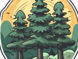 Perusahaan Pengepul Getah Pinus Diduga Langgar Aturan, APH di Harap Bertindak