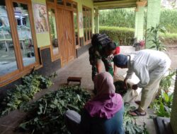 Babinsa Selo Jalin Komsos Dengan Petani Desa Suroteleng