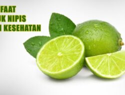Dahsyat, Ini Lima Manfaat Konsumsi Jeruk Nipis Bagi Kesehatan
