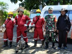 Basmi Sarang Nyamuk, Babinsa Klego Ikut Laksanakan Foging