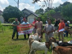 Babinsa Wonosegoro Berperan Aktif Dalam Sosialisasi Peternakan di Balai Desa Gilirejo