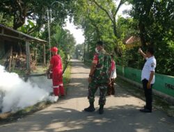 Cegah Penyakit DBD Babinsa Banyudono Bantu Fogging di Desa Bendan