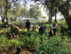 Kemanunggalan TNI-Rakyat, Babinsa Koramil 1712/Jatiwangi Bersama Warga Gotong Royong Bersihkan TPU