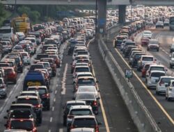 Rayakan Idulfitri, Kemenkes Imbau Masyarakat Waspadai Penyakit HFMD dan DBD