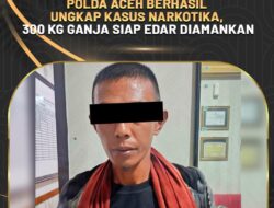 Polda Aceh Berhasil Ungkap Kasus Narkotika, 300 Kg Ganja Siap Edar Diamankan