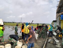 Memasuki Hari Ke-18, Satgas TMMD Ke-120 Kodim 0726/Sukoharjo Kebut Pengecoran Jalan
