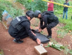 Granat Yang Ditemukan Warga di TPU Desa Sinargalih, Dimusnahkan Tim Gegana Brimob Polda Jabar