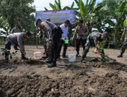 Satgas TMMD Reguler Ke-120 Kodim 0726/Sukoharjo Gelar Karya Bhakti Penghijauan dan Pembersihan pasar