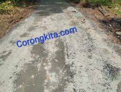 Pekerjaan Lapen JUT di Desa Cisalak, Diduga Asal-Asalan