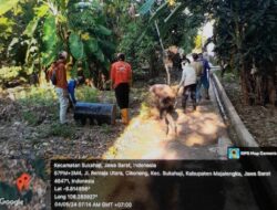 Pemdes Cikoneng Realisasikan Banprov, Untuk Peningkatan Jalan Lingkungan