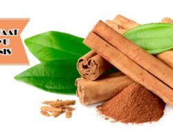Wajib Tau, Ini Lima Manfaat Minum Rebusan Kayu Manis