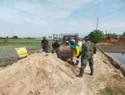 Droping Tanah urug tidak ada kendala, Proses Finishing Pengurugan Berm Terus Berjalan