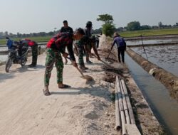 Kejar Target finishing, Berm Rabat Beton Jalan di Dk. Pabrik, Desa Wirun terus dilakukan Pengurugan