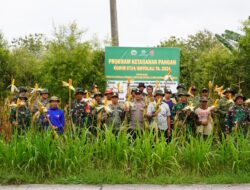 Kodim Boyolali Panen Raya Jagung di Lahan Perhutani