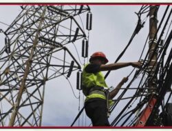 PLN Jabarkan Alasan Indonesia Lakukan Impor Listrik Dari Malaysia