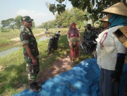 Dialog Hangat antara Babinsa Plumbungan dan Petani