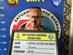 Satresnarkoba Polres PALI, Berhasil Meringkus Seorang Teduga Pengedar Narkotika.