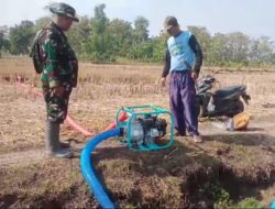 Babinsa Optimalkan Sawah Tadah Hujan Menjadi Sawah Produktif