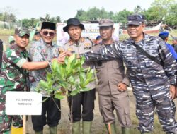 Peringati Hari Bhayangkara Ke 78 Polres Bireuen Tanam 1000 Pohon Bakau
