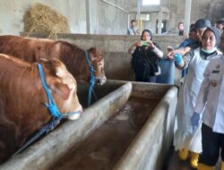 Jelang Lebaran Idul Adha 2024, Pj Bupati Majalengka Dedi Supandi Sidak