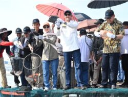Komisi IV Tinjau Potensi Pengembangan Pasar Ikan Nila di Karawang Bertujuan Ekspor