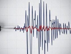 Gempa Magnitudo 4,4 Guncang Wilayah Halmahera Barat, Maluku Utara