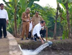 Antisipasi Kekeringan, Jokowi Beri Bantuan Pompanisasi di Jateng