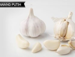 Dahsyat, Ini Manfaat Menakjubkan Konsumsi Bawang Putih Mentah