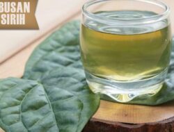 5 Manfaat Minum Air Rebusan Daun Sirih Daun Bagi Kesehatan