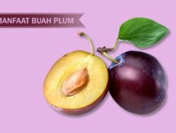 Dahsyat, Ini Lima Manfaat Konsumsi Buah Plum Bagi Kesehatan