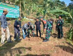 Cegah Bencana Longsor, Koramil Lemahsugih Laksanakan Penanaman Pohon