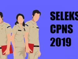 Dibuka Hari Ini, Berikut Syarat dan Cara Daftar CPNS 2024