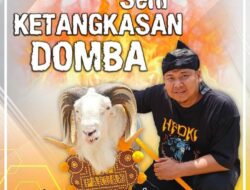 Terpilih Jadi Anggota DPRD Kab.Majalengka, Abdul Toyib Adakan Syukuran Seni Ketangkasan Domba.