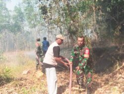 Babinsa Klego Sigap Bantu Damkar Padamkan Kebakaran Lahan di Desa Tanjung