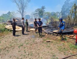 Kebakaran Lahan Kosong Eks Pabrik Gula Kadipaten Berhasil Dipadamkan oleh Tim Gabungan