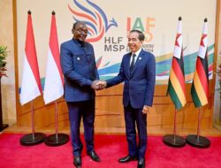 Pertemuan Wakil Presiden Zimbabwe Bersama Presiden Joko Widodo