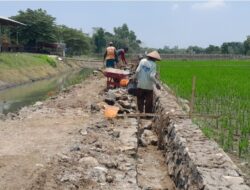 Melalui Dana Desa Tahap 2, Pemdes Sindanghaji Realisasikan Pekerjaan Rehabilitasi Saluran Irigasi Bejun di Dusun Tengah.