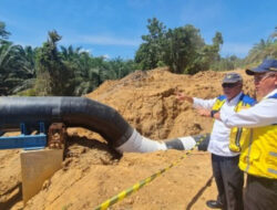 Jaga Ekosistem di IKN, Menteri PUPR Lepas Burung dan Benih Ikan