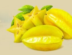 Dahsyat, Ini Lima Manfaat Konsumsi Buah Belimbing Bagi Kesehatan