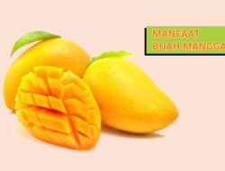 Banyak Digemari, Ini Lima Manfaat Buah Mangga Bagi Kesehatan