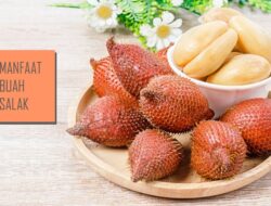 Dahsyat, Ini Lima Manfaat Buah Salak Bagi Kesehatan Tubuh