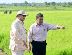 Presiden Prabowo Subianto, Meninjau Proses Tanam dan Panen Padi di Kab.Merauke