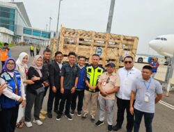 Bey Machmudin : Ini Kargo Pertama ke Kertajati, yaitu Pengiriman Domba dari Australia sebanyak 900 Ekor.