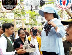 Direktur Buah & Florikultura – Liferdi Lukman Dampingi Kunjungan Dadakan Komisi IV DPR RI ke Kebun Anggur Firizco (ASPAI)