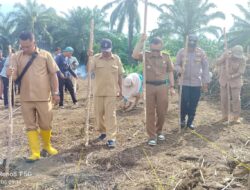 Kades Tanggo Raso : Pelaksanaan Program ini Merupakan Bentuk Sinergi antara Pemdes, BUMDes, dan Kelompok Tani dalam Mewujudkan Desa Mandiri Pangan