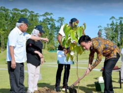 Wapres RI Gibran Rakabuming Raka Lakukan Penanaman Pohon Ulin di Plaza Bhinneka Tunggal Ika IKN