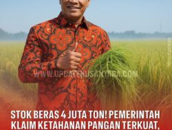 Stok Cadangan Beras Pemerintah Tembus 4 Juta Ton, Tertinggi Sejak 1969