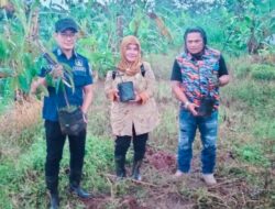 Bentuk Kepedulian Terhadap Lingkungan, LSM GMBI Distrik Majalengka Lakukan Penanaman Pohon di Desa Cinambo.