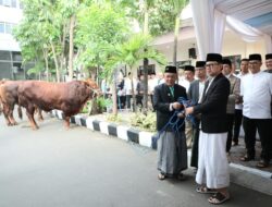 Serahkan Hewan Kurban Kemendagri dan BNPP, Wamendagri Bima Ajak Pegawai Perkuat Kepedulian dan Kebersamaan