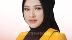 4 Pulau Diklaim Sumut, Aceh Siap Gugat ke PTUN: Ketua DPRD Sumut Tegaskan Harus Dipertahankan